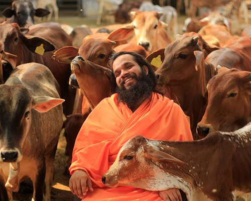 Astrology at Shree Krishnayan Gaushala