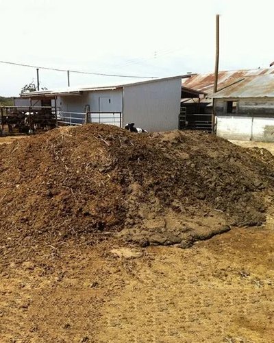 Bio Compost Manufacturing from Cow Dung