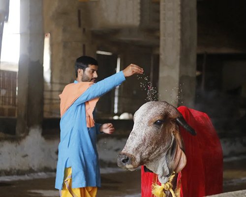 Everything You Need to Know About Godan